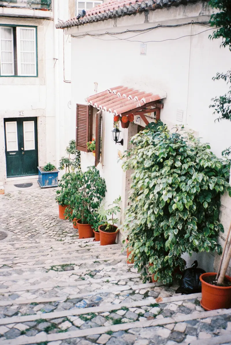 A green door and potted plants in a cobbled Alfama lane